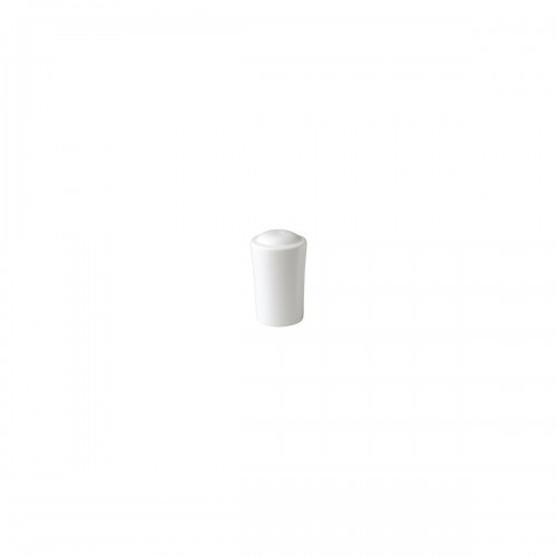 SALT SHAKER