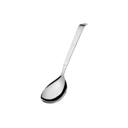 SOLID SERVING SPOON - Satin Finish Handle